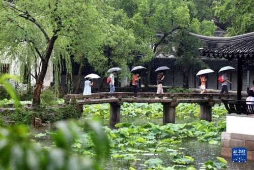 游客在雨中撑伞继续游览