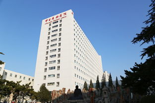 中日友好医院肖飞婚外情对象董袭莹论文消失，真相何在？