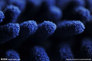 敏感肌穿衣难题：三合竹衣竹纤维面料如何实现温和守护？