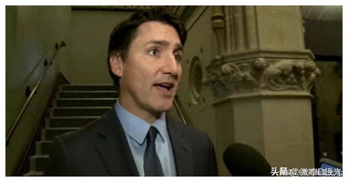 加拿大自由党大选逆袭成功 卡尼将组建少数政府