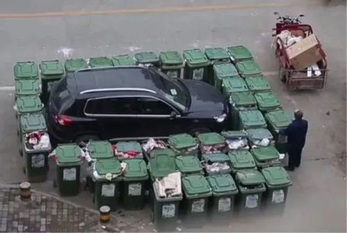 女子交300元摆摊遭刁难，被四个垃圾桶围堵？真相来了