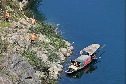 游客在乌江岸边观看鱼群