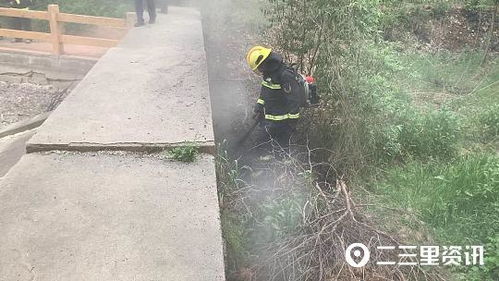 辽阳火灾现场消防员正在灭火