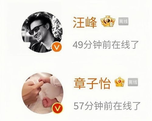 章子怡社交媒体发文截图