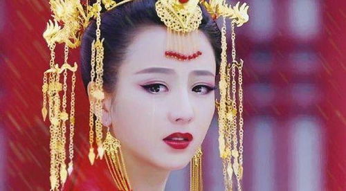 主角在朝堂上发言的场景