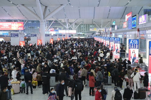 五一假期出行热爆！我亲历的交通高峰现场全记录