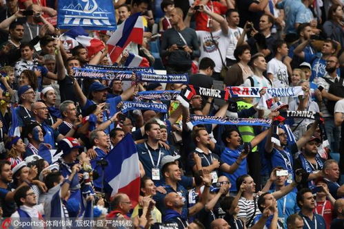 球迷庆祝胜利场景