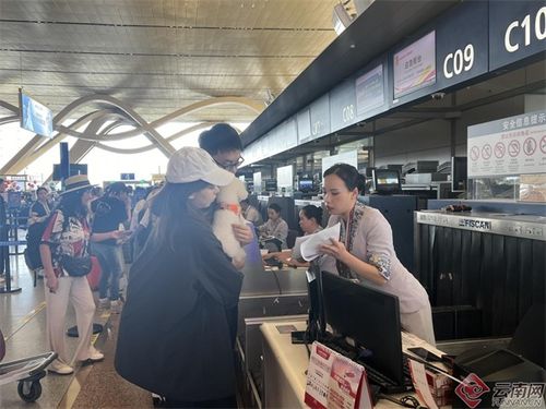 工作人员正在检查宠物箱