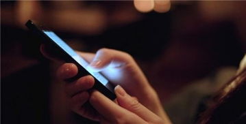 年轻人通过手机学习书法