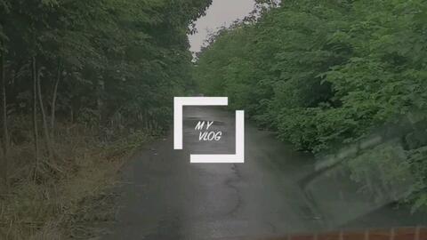 雨后湿润的小路