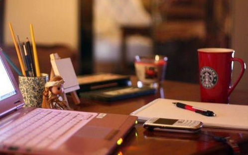 员工在电脑前加班工作