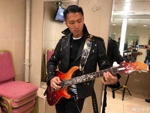 谢霆锋弹吉他演唱
