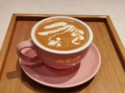 一杯冒着热气的咖啡和一本书的照片