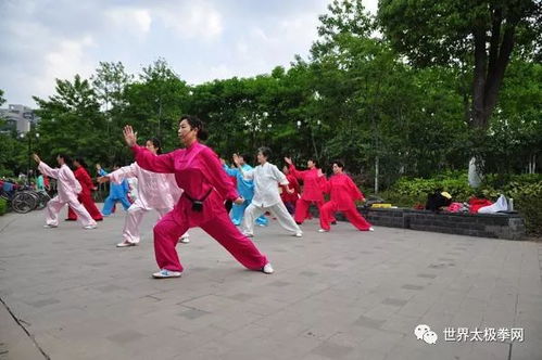 公园里的老人练太极