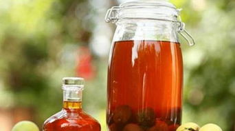 青梅泡酒：清香型小曲白酒，梅香与酒香的完美邂逅