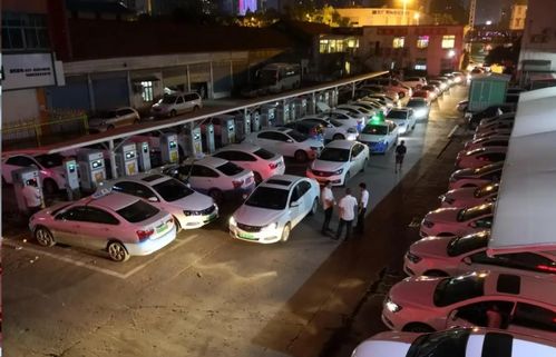 车主在政府部门外排队咨询