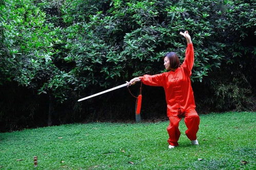 人在山林间练习武术基本功