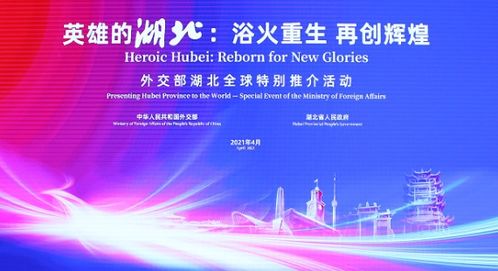 外交部双语视频截图