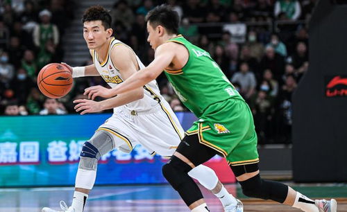 广厦与辽宁赛后握手