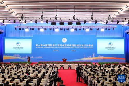 中立视角下的国际会议场景