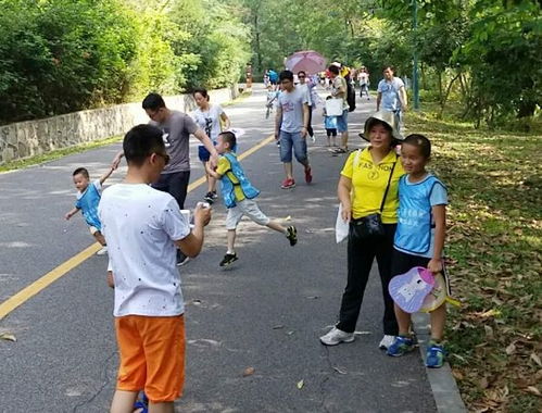 父母陪伴孩子进行户外活动