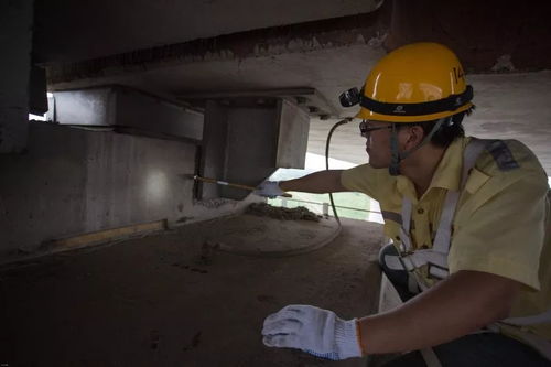 美国蓝领收入高，为何大家不去做？一个年轻人的真实职业选择思考