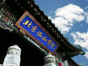 协和4+4培养模式陷争议漩涡，真相到底如何？