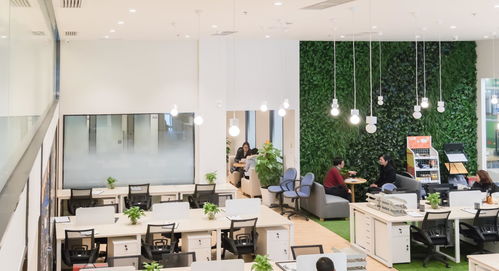 被公司安排点奶茶超预算，怎么巧妙让同事分摊？我亲历分享