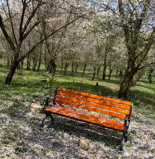 一个年轻人独自在公园长椅上放松冥想