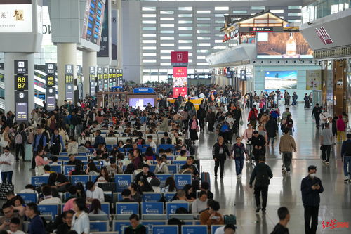 成都东站排队购票人群