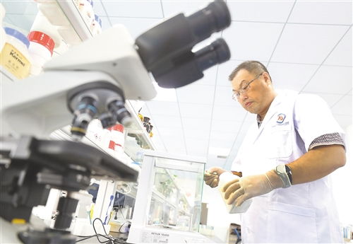 媒体三问肖飞董袭莹事件：学历争议与情感风波背后的真相探寻