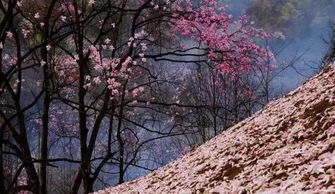 霓裳不褪旧时妆｜我在简书遇见了时光的温度