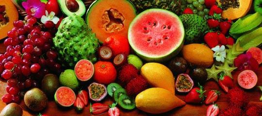 不同水果的热量和糖分对比图表