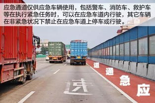 浙江放大招了！五一高速上没电、没油？统统免费拖走！