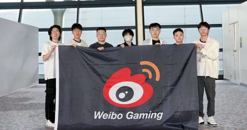 WBG比赛精彩瞬间