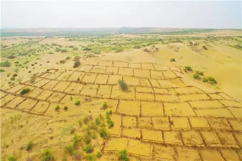 微电极与N₂O测量仪揭秘白云岩沙漠N₂O排放机制：我在科研一线的亲身经历