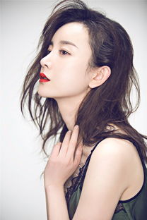 曾黎穿着旗袍优雅侧影