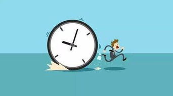 经过长时间盘玩后泛着光泽的菩提根