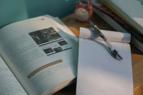 看透表象的智慧：在光明与阴影间寻找平衡