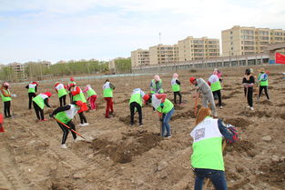 志愿者们在植树造林恢复生态