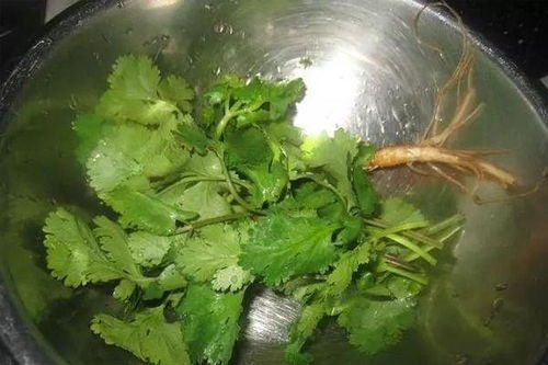 李一桐姜控油进行到底，原来这才是她素颜发光的秘密？