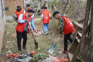 乡村青年志愿者参与农村建设