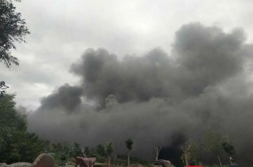 太原台骀山火灾事故现场