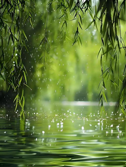 春雨微风<h3 style=