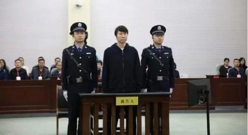 法院判决画面李铁低头听审