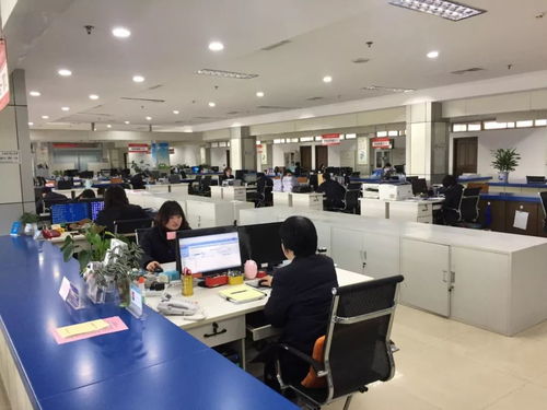 政务服务中心高效办公图片