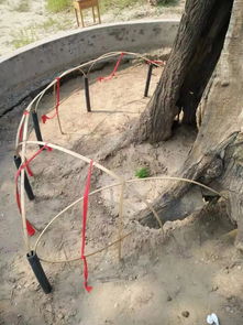 谷雨时节的诗意人生：春景与秦腔交织