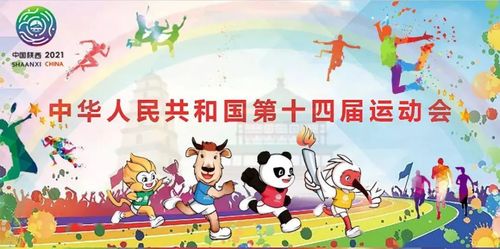 评论截图展示真实互动