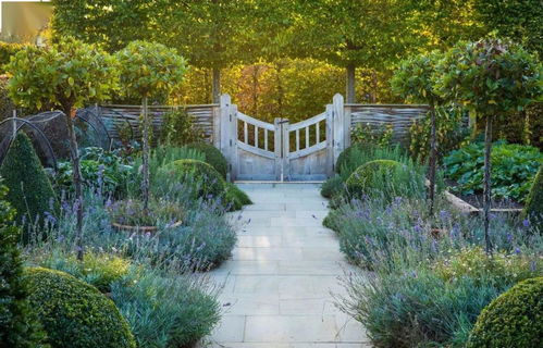 海蒂花园实景照片展示园艺产品