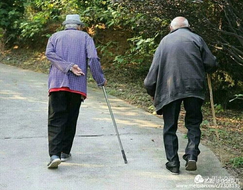 老人与年轻女子牵手漫步街头